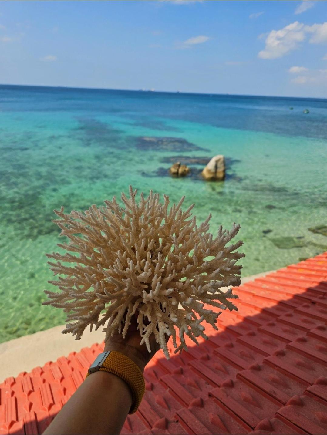 Mui Dinh Hotel Phan Rang Exteriör bild