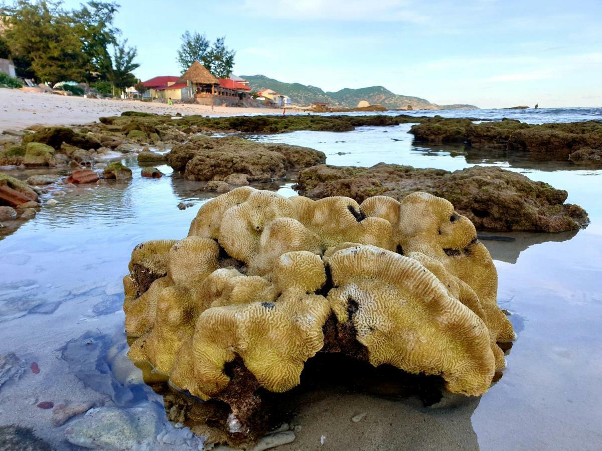 Mui Dinh Hotel Phan Rang Exteriör bild